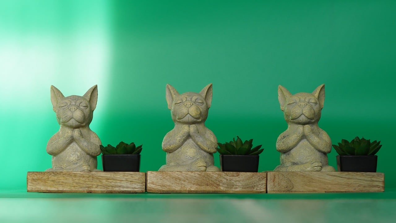 명상하는법