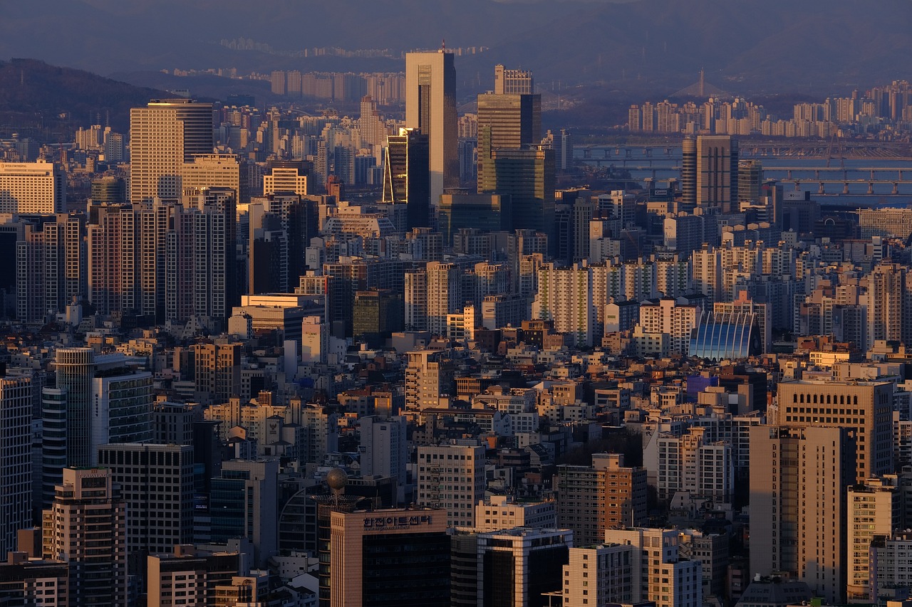 서울 바베큐장
