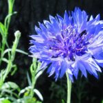 동학사 주변 맛집 추천 리스트 살펴보기