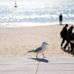 부산 산후도우미 비용 알아보자