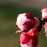 서울 여드름 압출 추천 병원 5곳 살펴보기
