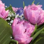 유아 교육을 위한 5가지 필수 요소 알아보기